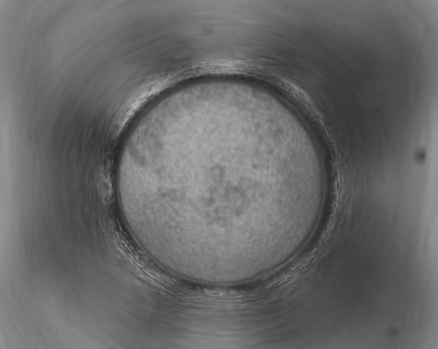 X0000115611218200912011543