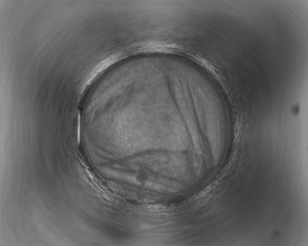 X0000115611219200912011543