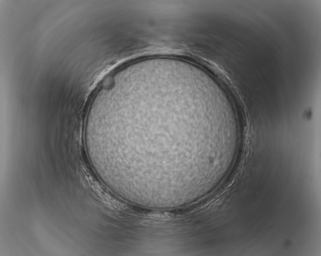 X0000115611220200912011543
