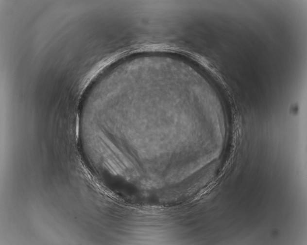 X0000115611221200912011543