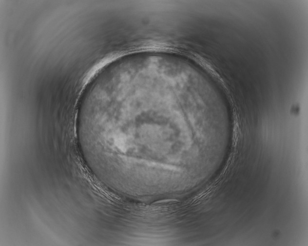 X0000115611222200912011543