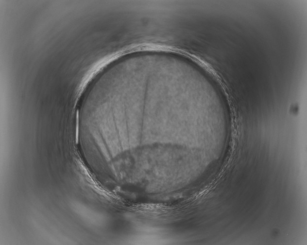 X0000115611223200912011543