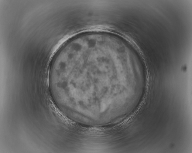 X0000115611224200912011543