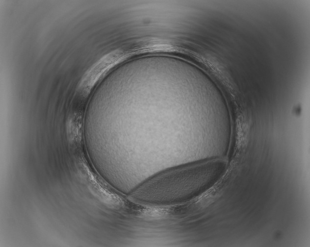 X0000115611225200912011543