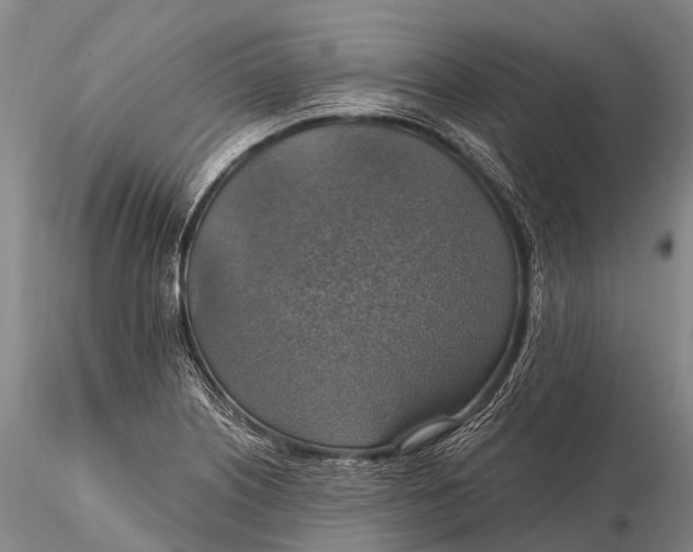 X0000115611226200912011543
