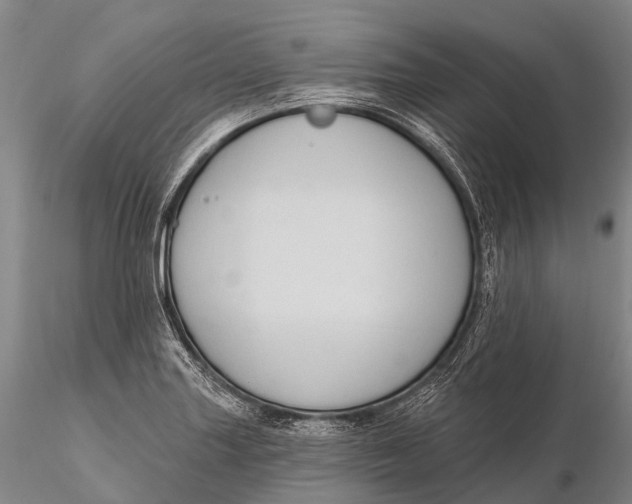 X0000115611227200912011543
