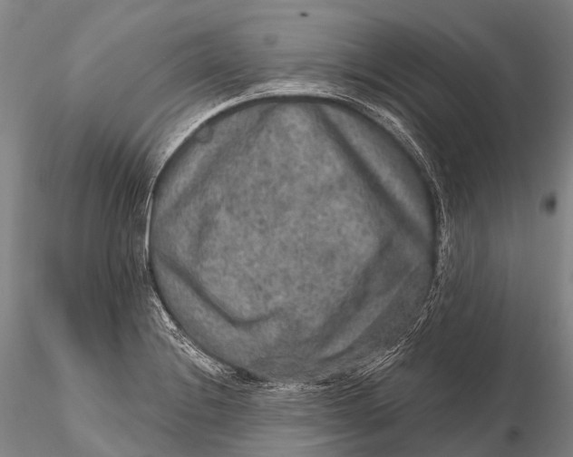 X0000115611228200912011543