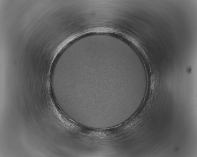 X0000115611229200912011543