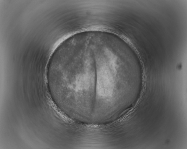X0000115611230200912011543