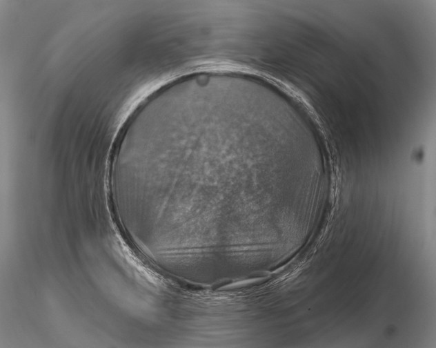 X0000115611231200912011543
