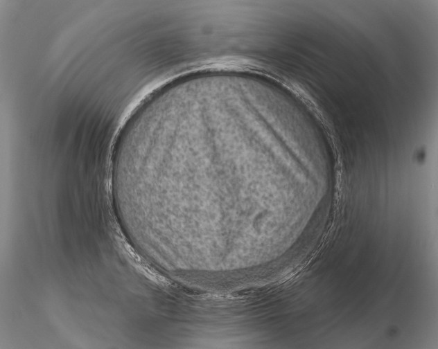 X0000115611232200912011543