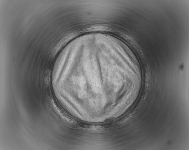 X0000115611233200912011543