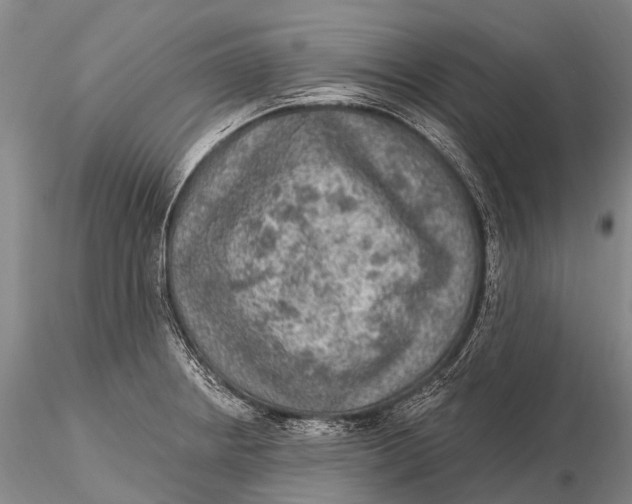 X0000115611234200912011543