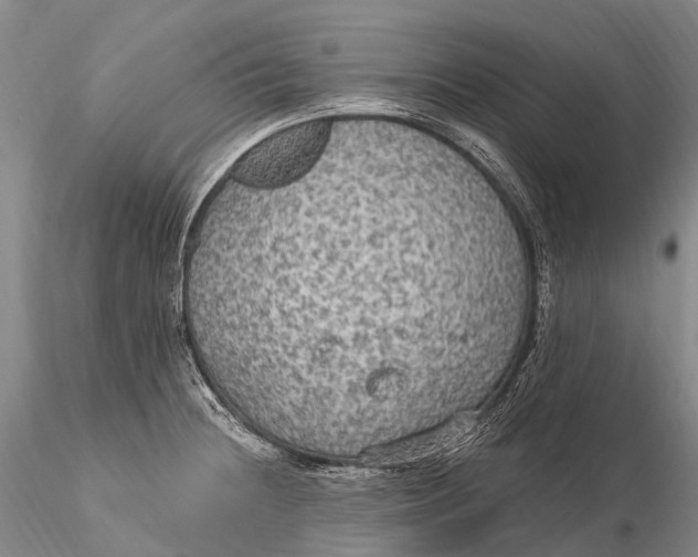 X0000115611236200912011543