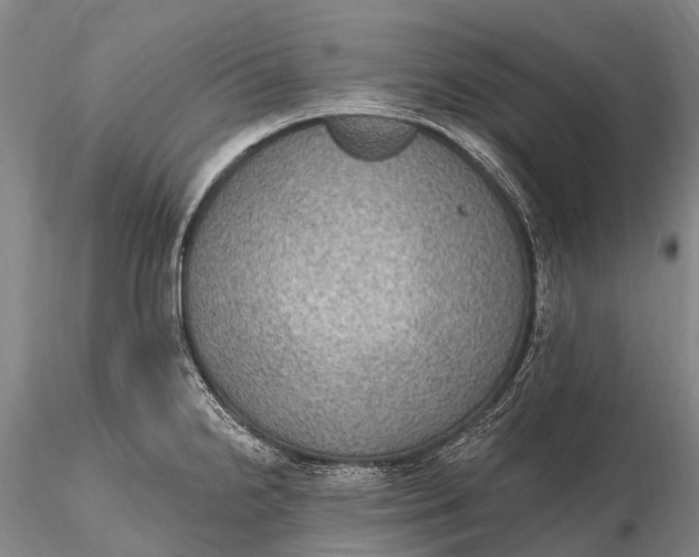 X0000115611238200912011543