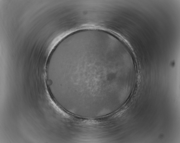 X0000115611239200912011543