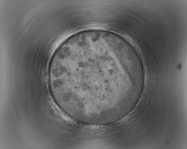 X0000115611240200912011543