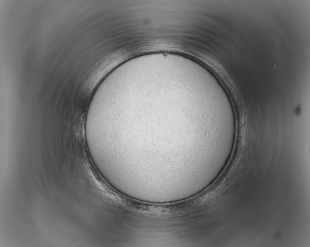 X0000115611241200912011543