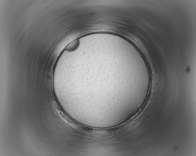 X0000115611242200912011543