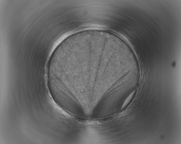 X0000115611243200912011543