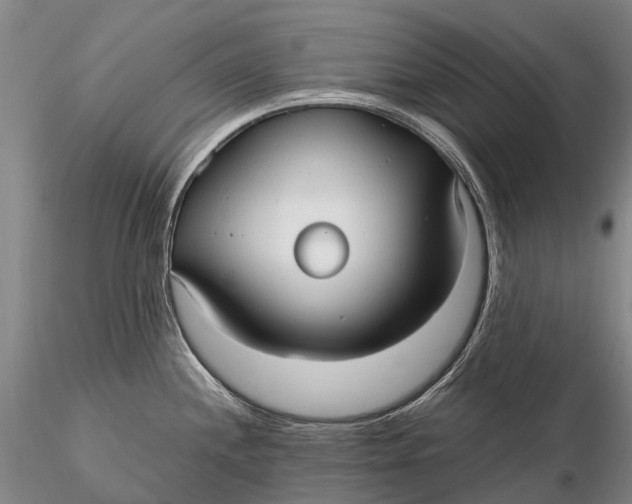 X0000115611244200912011543