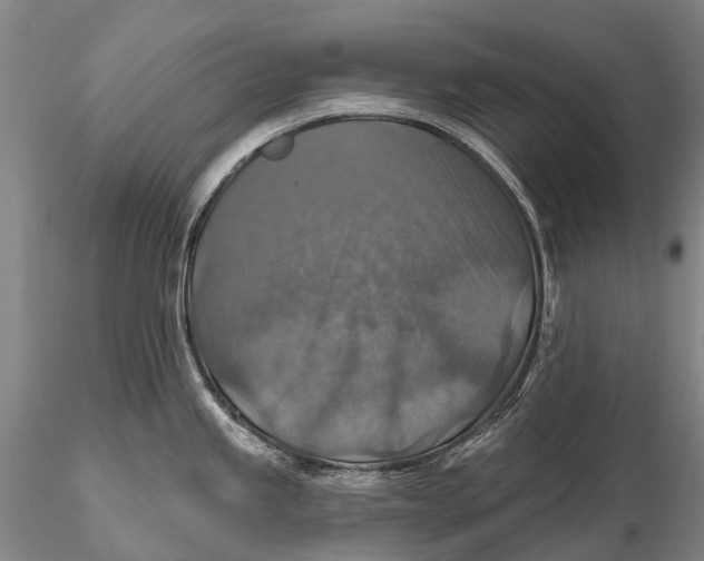 X0000115611245200912011543