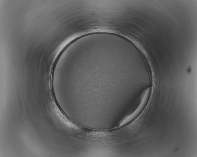 X0000115611246200912011543