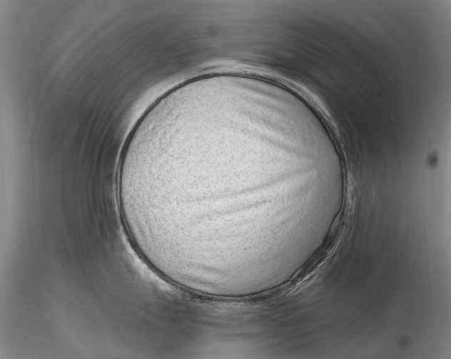 X0000115611247200912011543