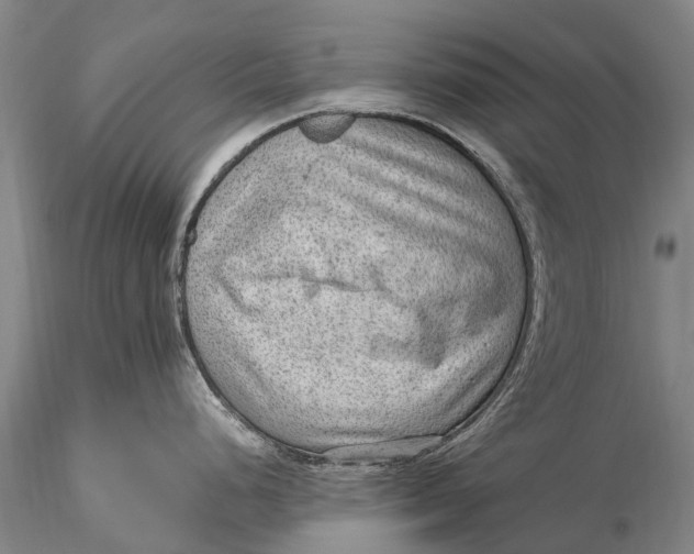 X0000115611248200912011543