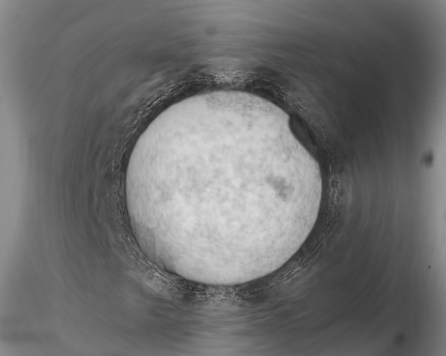 X0000115611249200912011542
