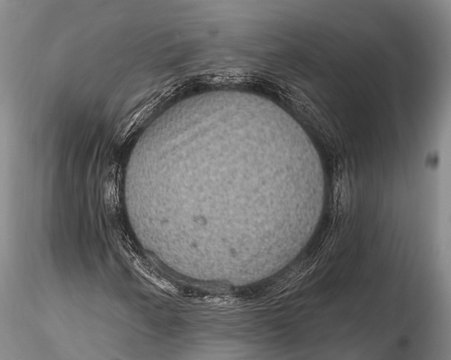 X0000115611250200912011542