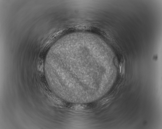 X0000115611251200912011542