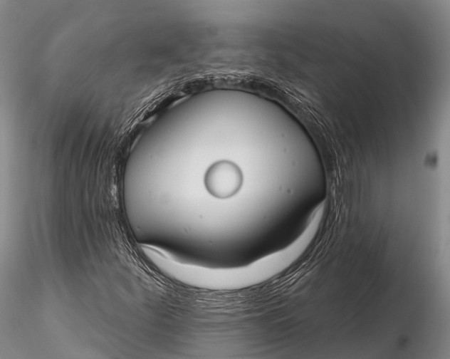 X0000115611252200912011542