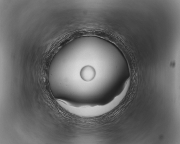 X0000115611253200912011542