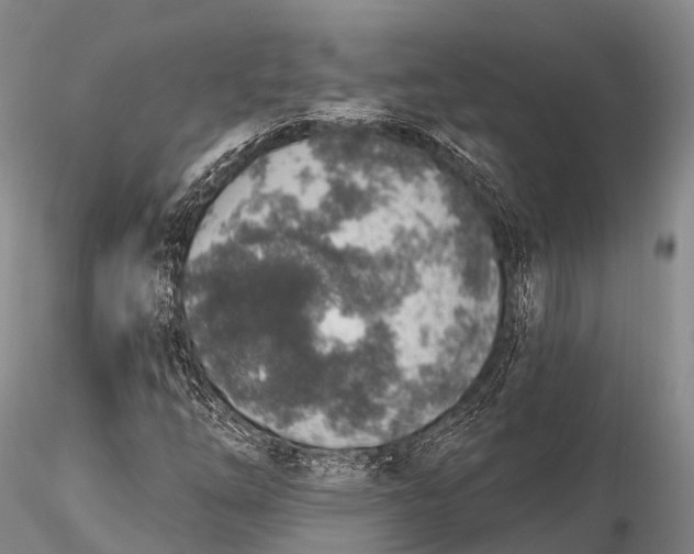 X0000115611254200912011542