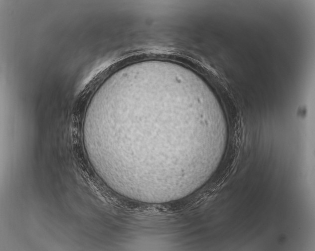 X0000115611255200912011542