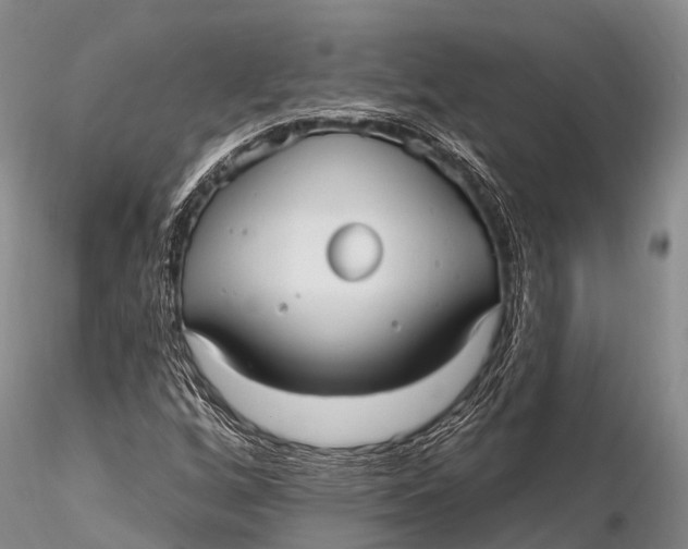 X0000115611256200912011542