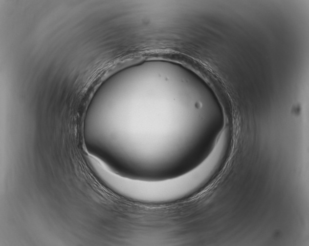X0000115611257200912011542