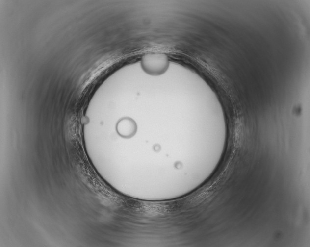 X0000115611258200912011542