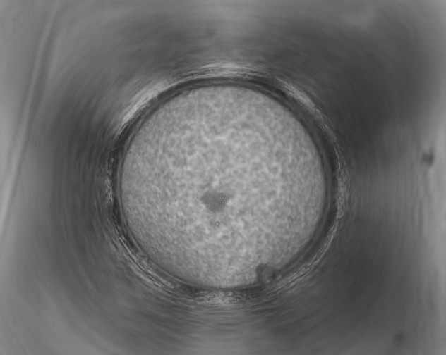 X0000115611259200912011542