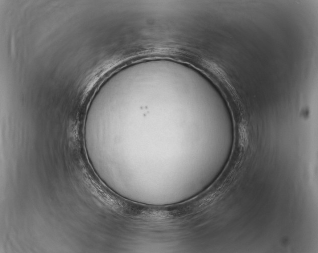 X0000115611260200912011542