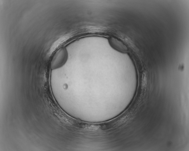 X0000115611261200912011542