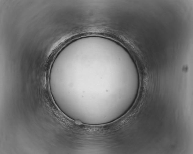 X0000115611262200912011542