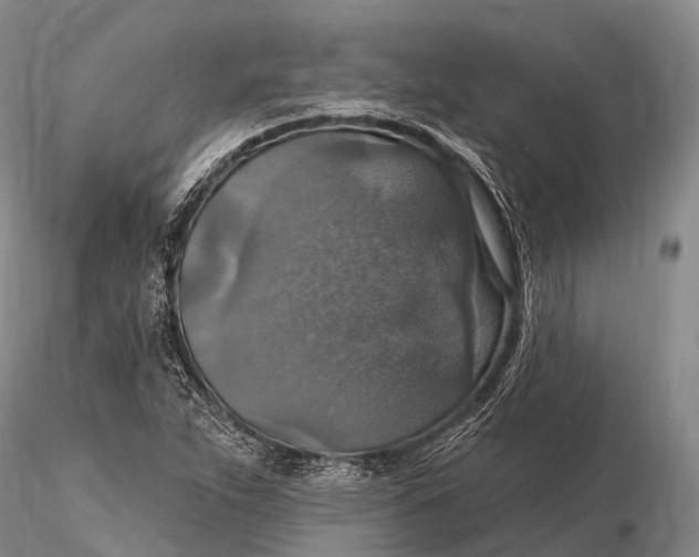 X0000115611263200912011542