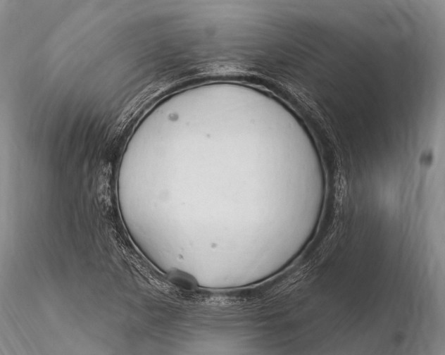 X0000115611265200912011542