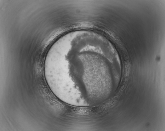 X0000115611266200912011542