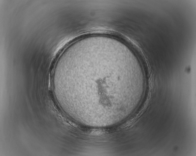 X0000115611267200912011542