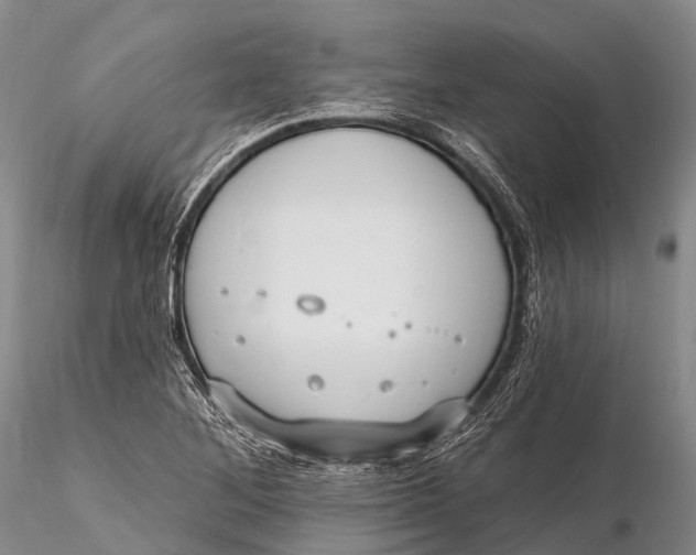 X0000115611268200912011542
