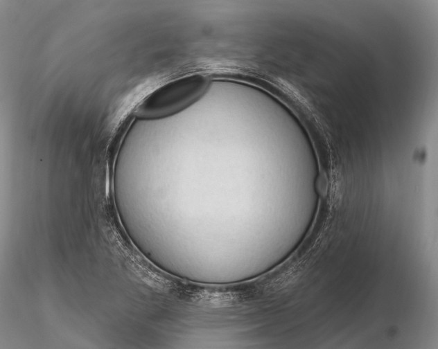 X0000115611269200912011542