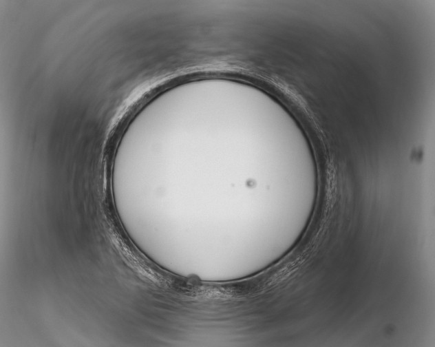 X0000115611270200912011542